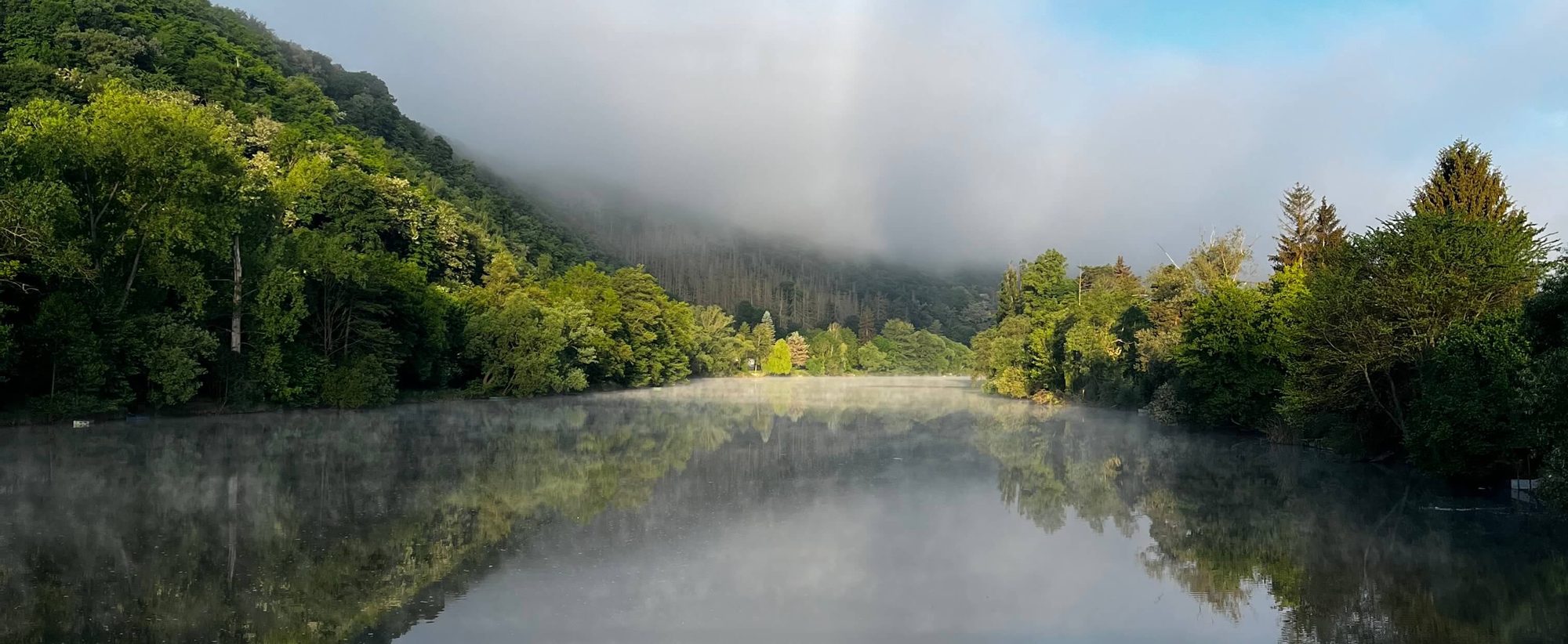Ranní mlha nad Berounkou mezi zalesněnými svahy